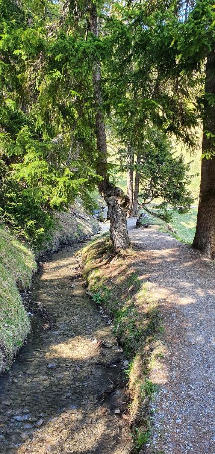Un Moment De Detente Inoubliable Saillon-Les-Bain Exteriör bild