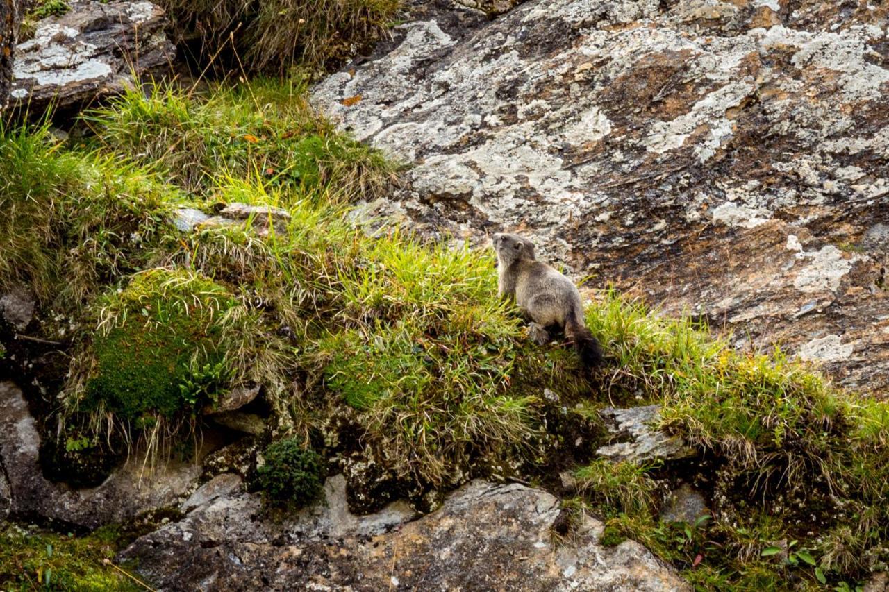 Un Moment De Detente Inoubliable Saillon-Les-Bain Exteriör bild